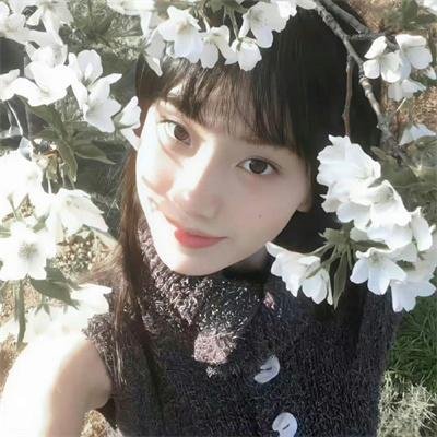 图书馆员第四季