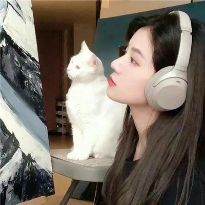 三年恩尽乘风起