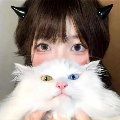 High Kick 短腿的反击